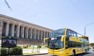 bus - Colectivo