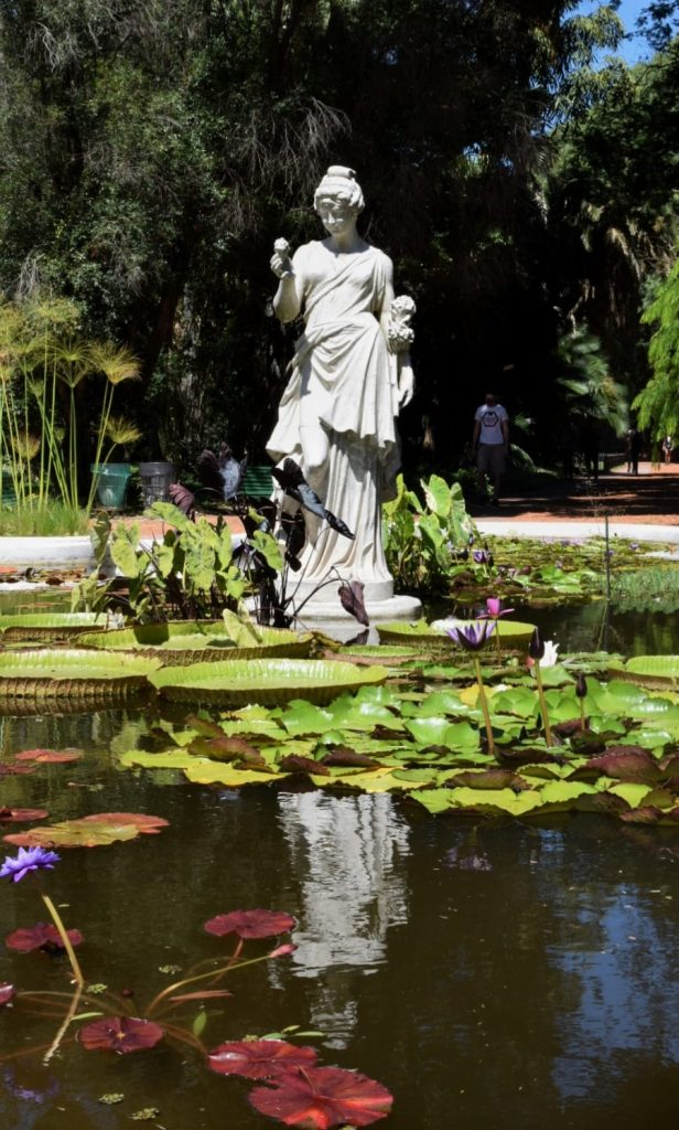 Jardín Botánico - Escultura