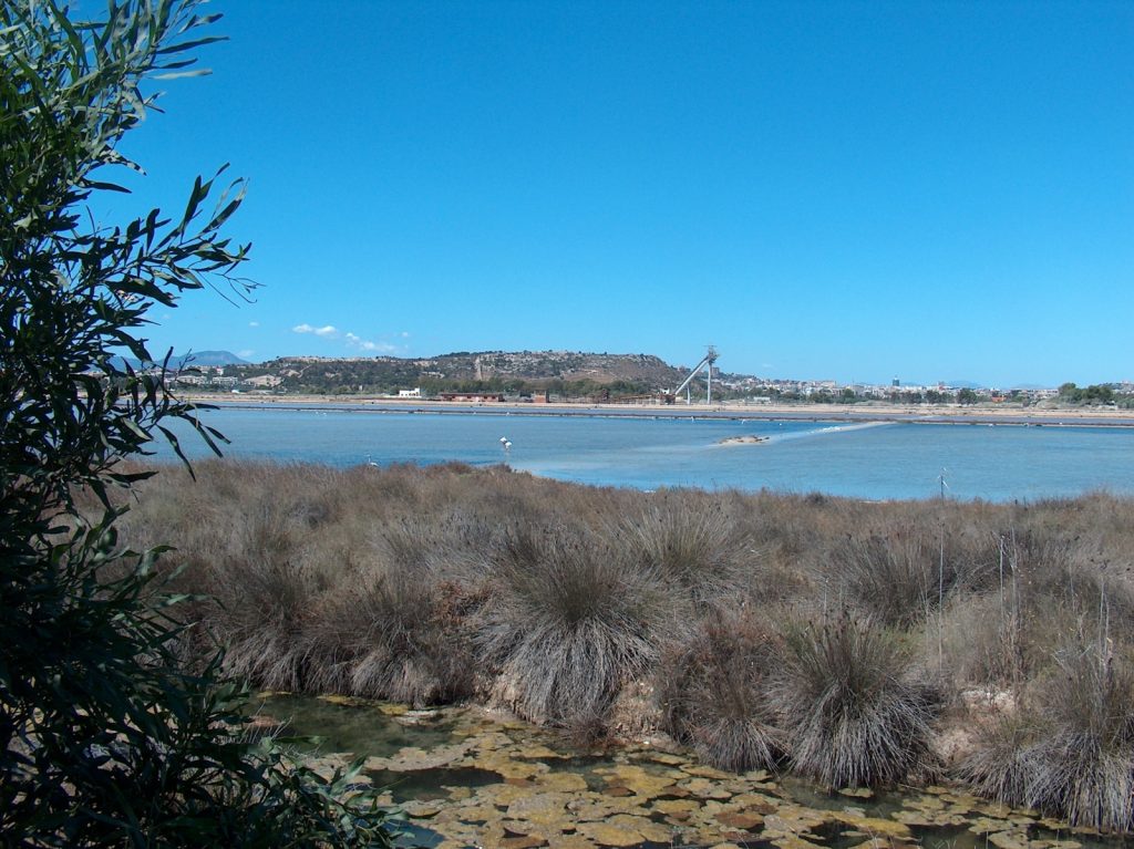 uno degli stagni del parco naturale del molentargius