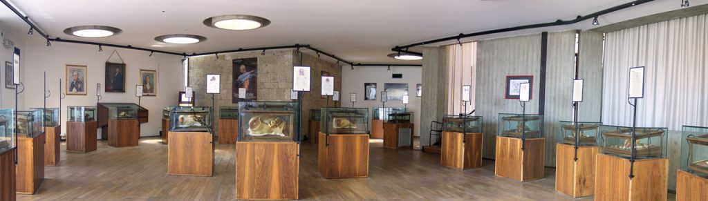 Sala Museo delle Cere Anatomiche di Clemente Susini (Fonte: Università degli Studi di Cagliari)