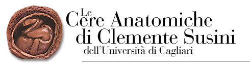Le Cere Anatomiche di Clemente Susini (Fonte: Università degli Studi di Cagliari)