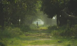 Panas - Una donna attraversa il bosco