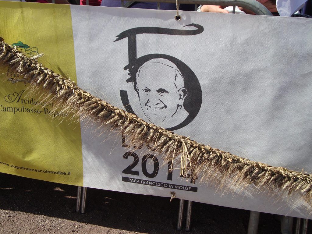 Papa Francesco - Festone