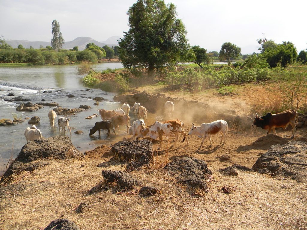Etiopia - Panorama Etiopia
