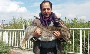 Giosuè. il Coniglio Di Raviscanina e il suo padrone Gioni