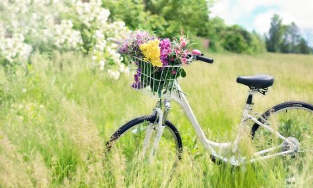 Biciclettata in Comune, una bici piena di fiori