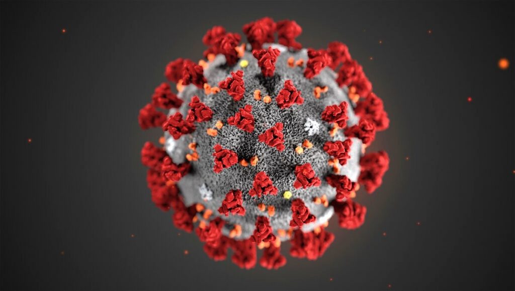 Coronavirus - il virus