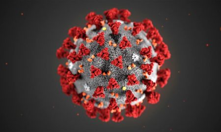 Coronavirus - il virus