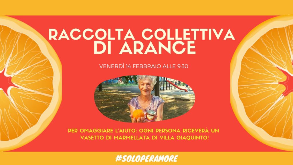 arance di villa Giaquinto: la locandina dell'evento
