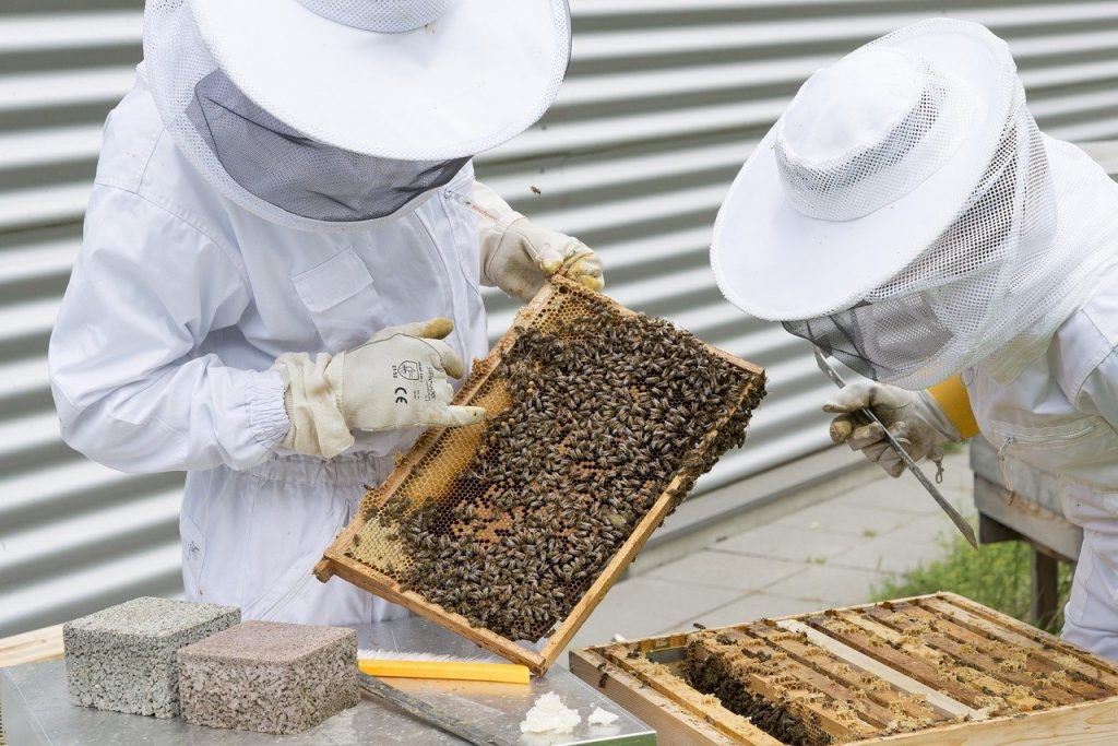 Social In Soccorso dell'apicoltore