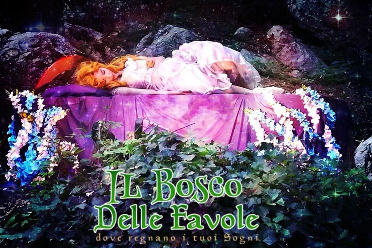 Dove Si Trova Il Bosco Delle Favole