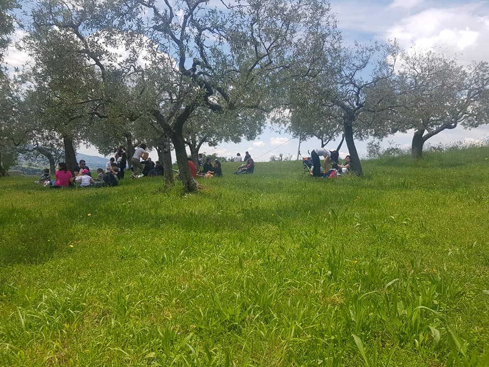 Olio Di San Giovanni