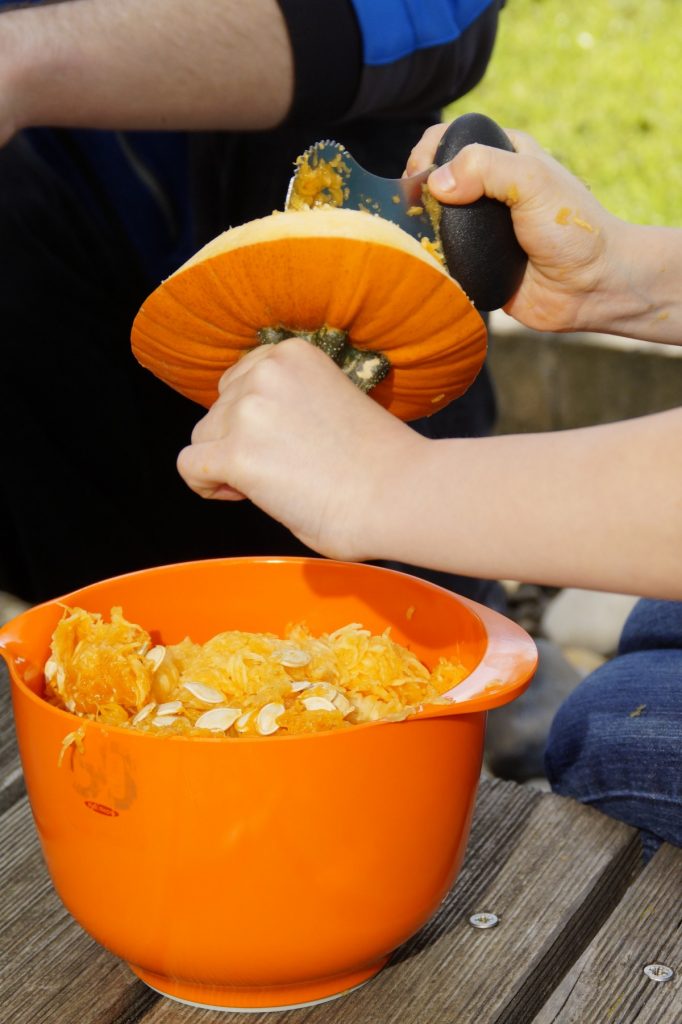 Cheesecake Alla Zucca Pulizia Zucca