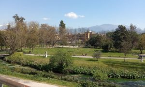 giardini- Villa Comunale Di Cassino