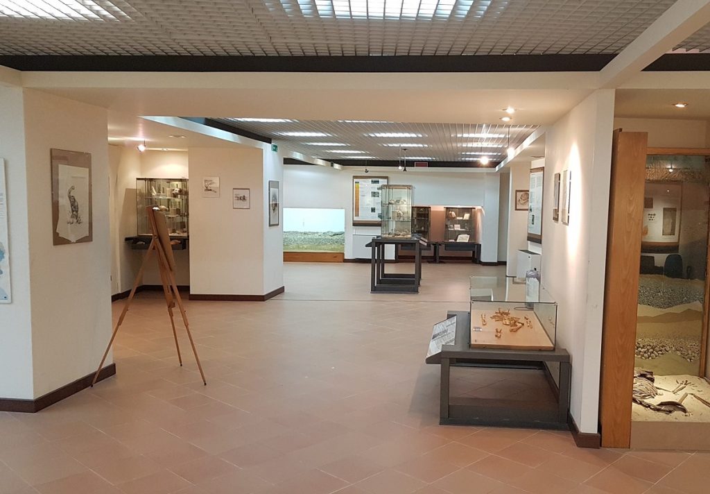 Argil Museo Preistorico Pofi