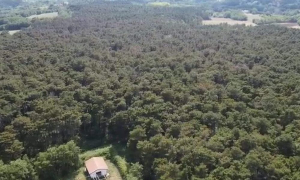 Sentieri Storici Bosco Vandra