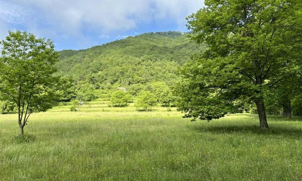 Piccola Guida Di Terelle Paesaggio Natura