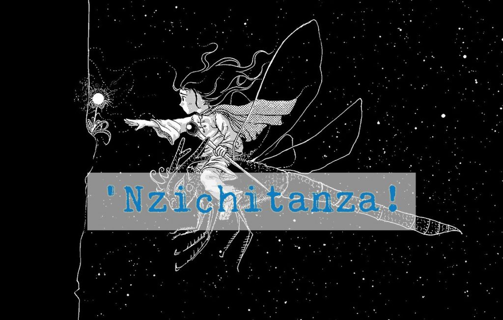 Nzichitanza