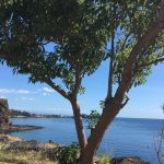 Un Castello che sorge su di una rupe sul mare e sovrasta Aci Castello dall'alto