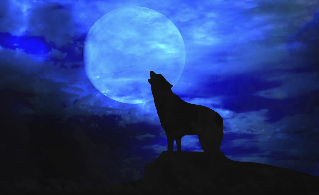 Notte di luna piena: l'habitat ideale di un lupo mannaro. Fonte foto: pazienti.it