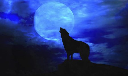 Notte di luna piena: l'habitat ideale di un lupo mannaro. Fonte foto: pazienti.it