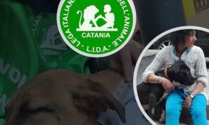 Bianca Briaco è la responsabile della Lida Catania
