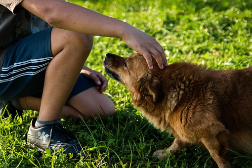 area di sgambamento - Bambino che accarezza ilCane