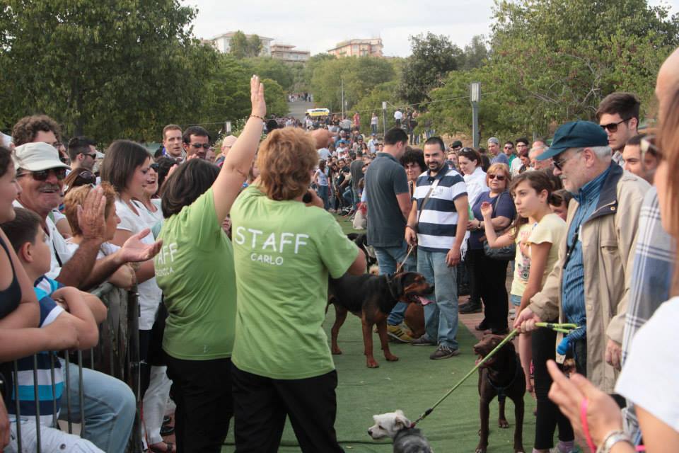 area di sgambamento - persone che partecipano alla Festa Del Cane A Catania