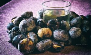 Castagne