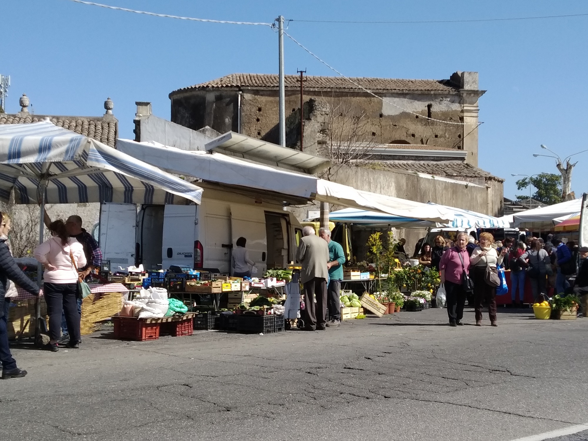 SALVADANAIO PORCELLINO  Mercatino dell'Usato Catania stazione centrale