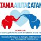 Catania aiuta Catania - Foto Comune di Catania