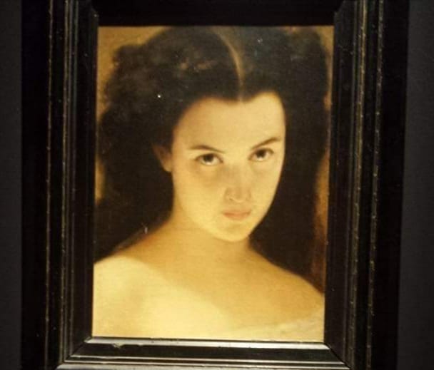 Michele Rapisardi attinge molte volte al personaggio di Ofelia. La resa dei particolari del viso, lo sguardo rendono quest'opera una delle migliori espressioni della sua arte.
