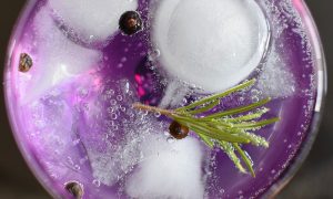 Gin dell'Etna, gin tonic