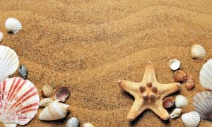 Spiagge libere: la sabbia e le conchiglie