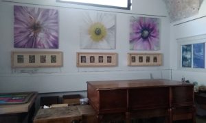 SoRu: la creatività femminile a Catania