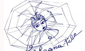 Logo del La Ragnatela, insieme di realtà contro la violenza sulle donne