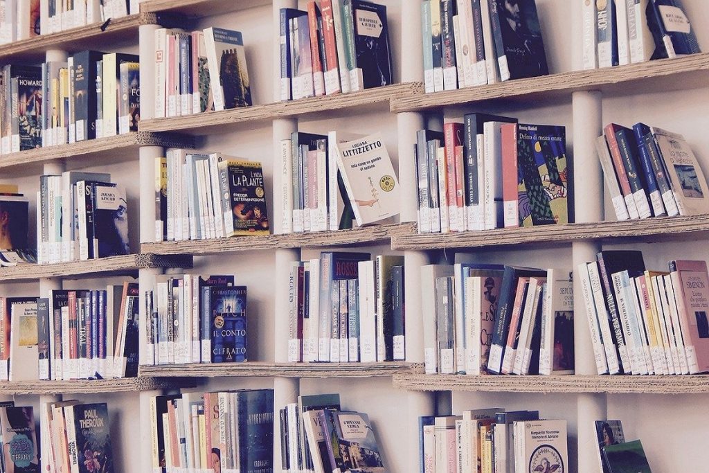 Maggio del libri 2021: una libreria piena di volumi - Foto: Pixabay