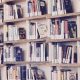 Maggio del libri 2021: una libreria piena di volumi - Foto: Pixabay