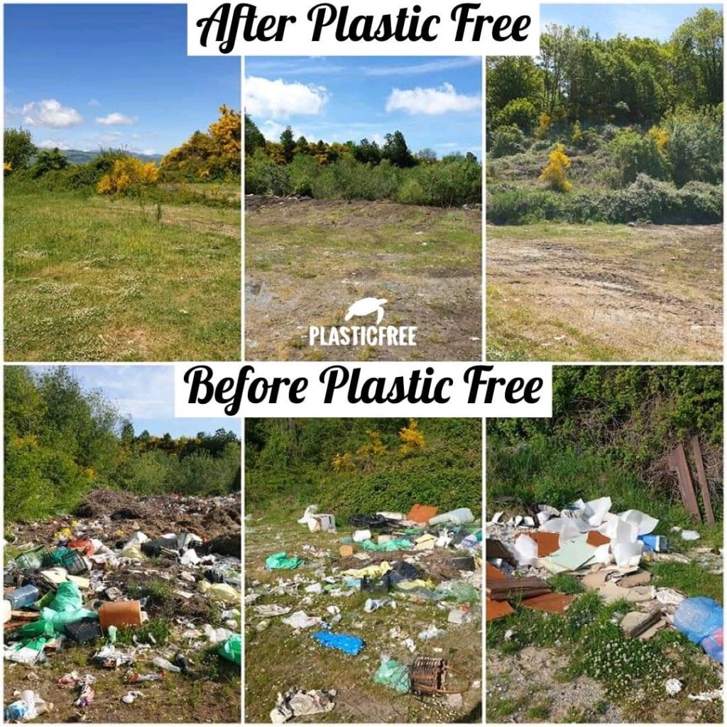 Plastic Free è un'associazione onlus nata nel 2019 che si occupa di liberare il mondo dalla plastica