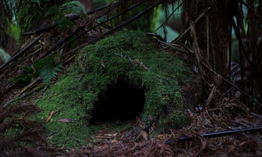 Grotte in città: tra fede e leggende- Foto: Pixabay
