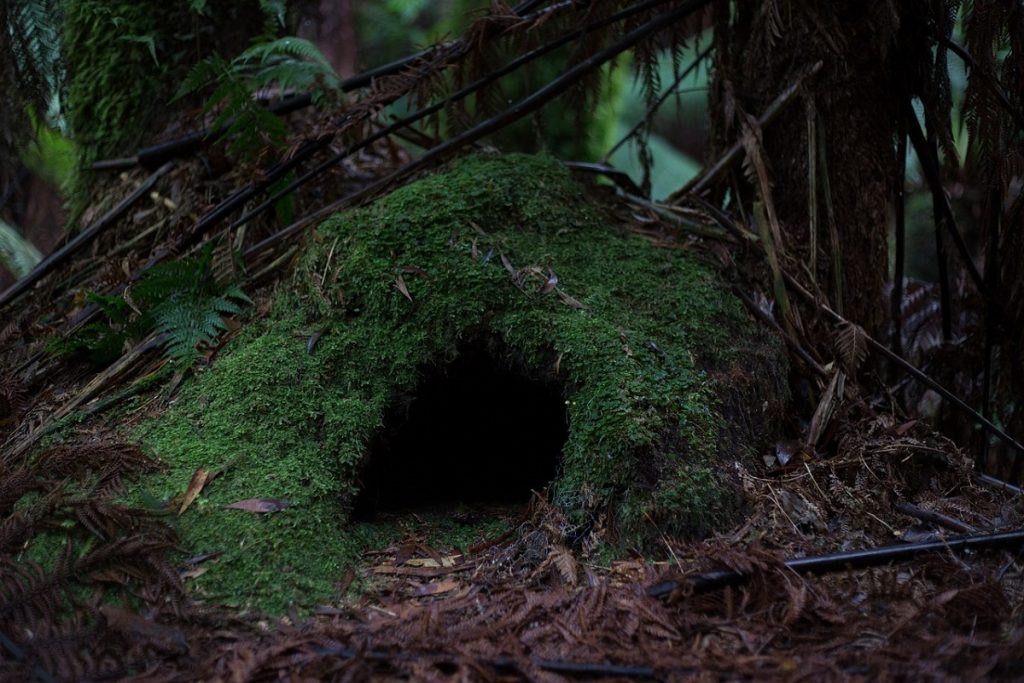 Grotte in città: tra fede e leggende- Foto: Pixabay