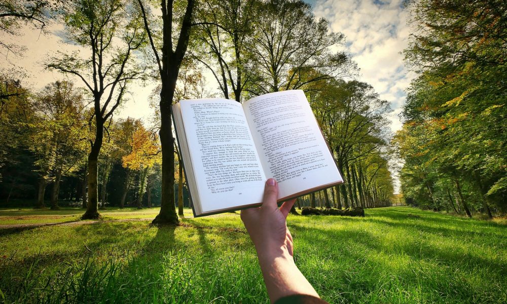 Book G46118b7cc 1920