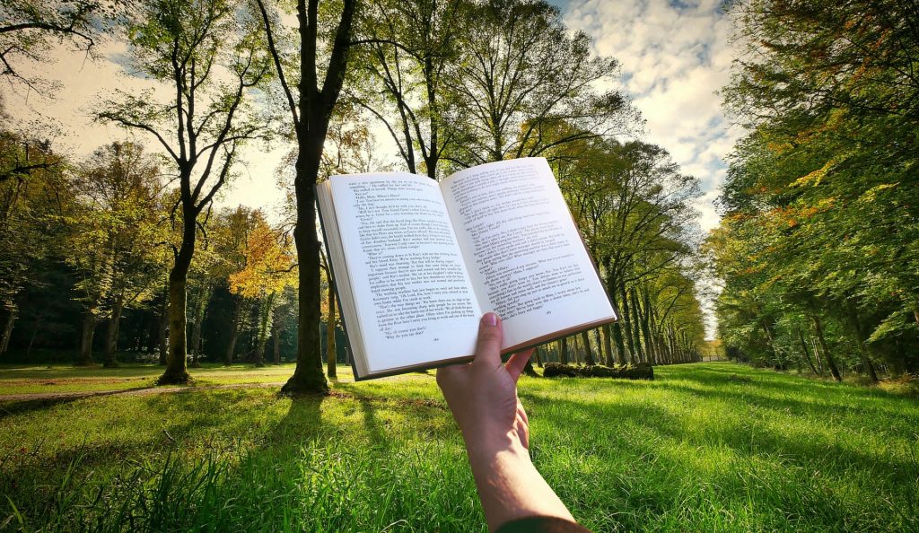 Book G46118b7cc 1920