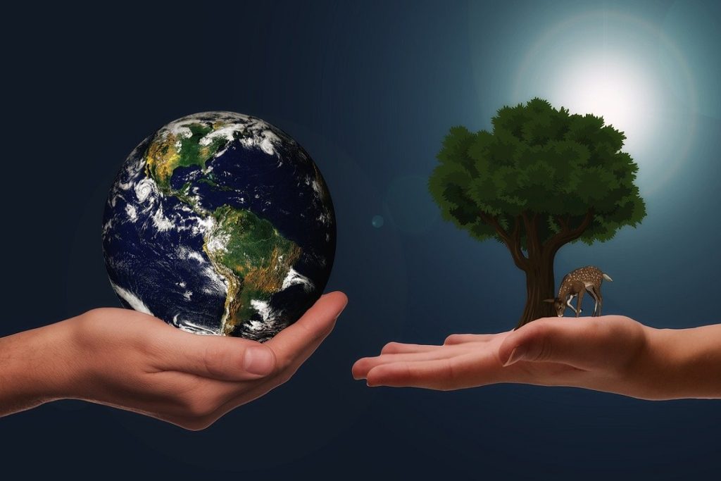 M'illumino di meno -La terra- Foto: Pixabay