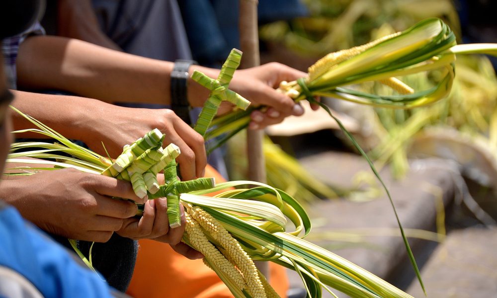 Domenica delle palme a Catania, lavorazione