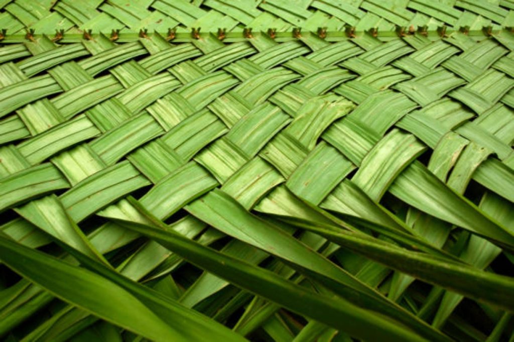 Domenica delle palme, intreccio