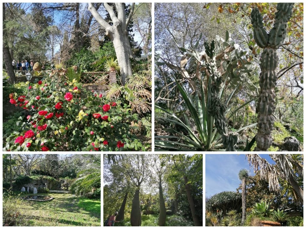 Il Parco Paternò del Toscano è un giardino botanico privato che si trova ai piedi dell‘Etna,