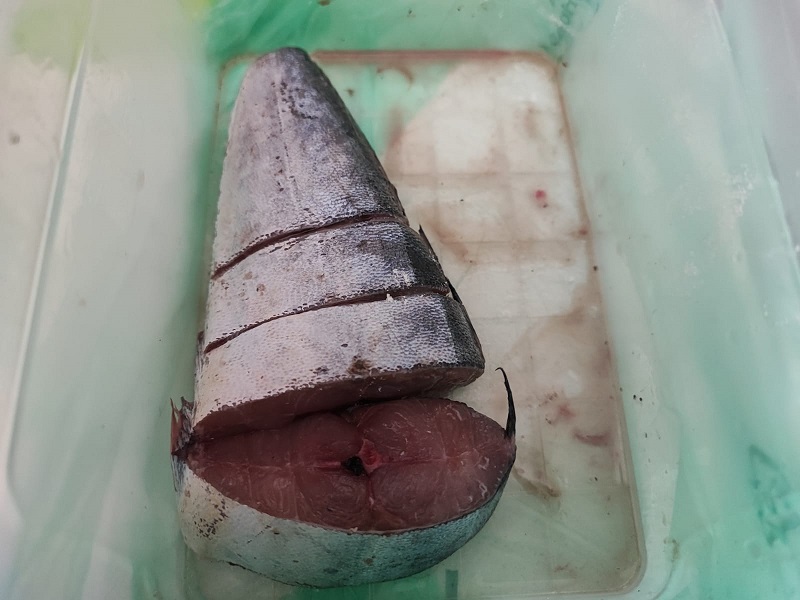 Ucapuni Tagliato A Fette- Foto: Cavaleri Fracesca Agata
