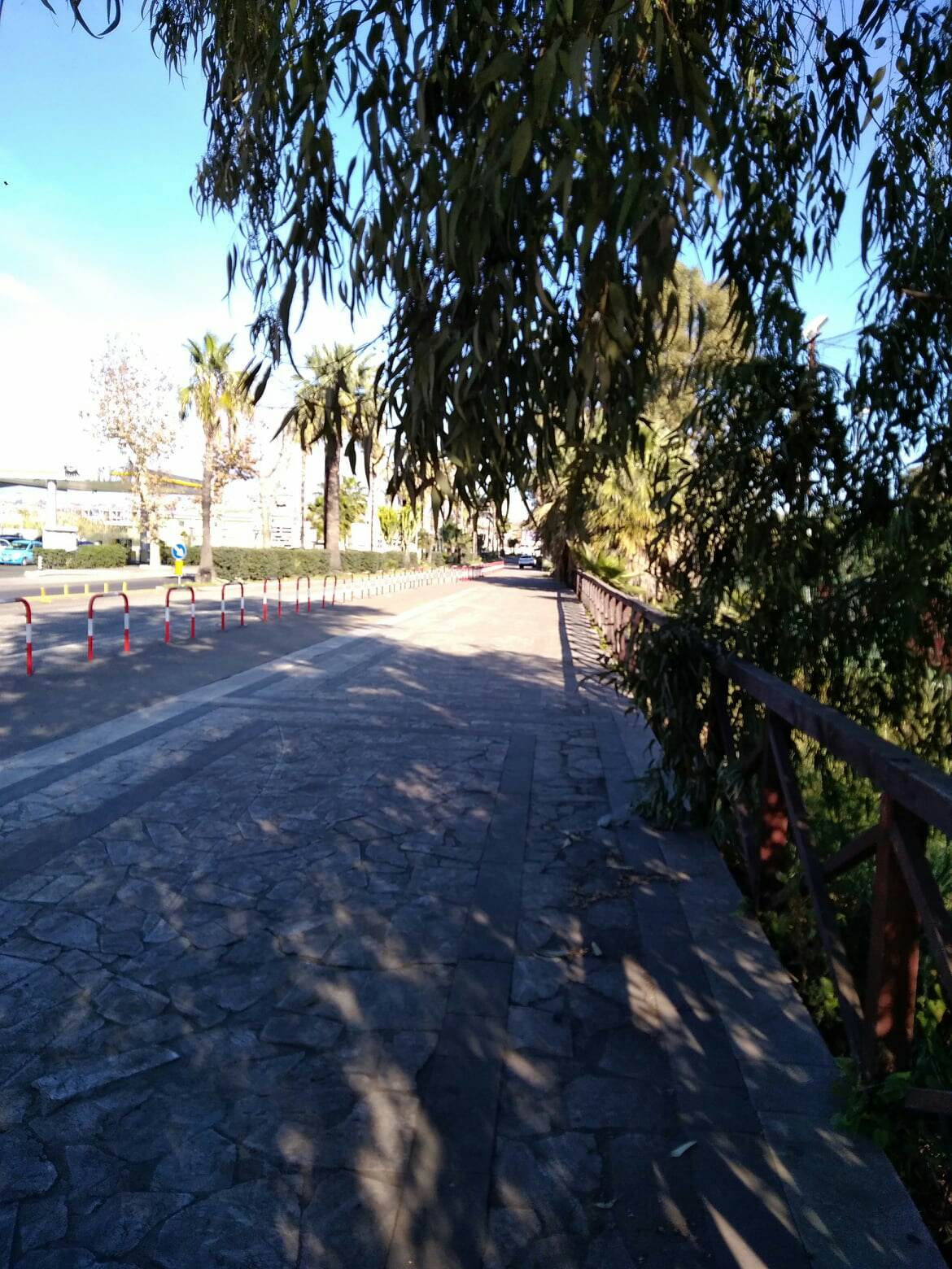 Secondo Cicloevento: la situazione del viale Kennedy