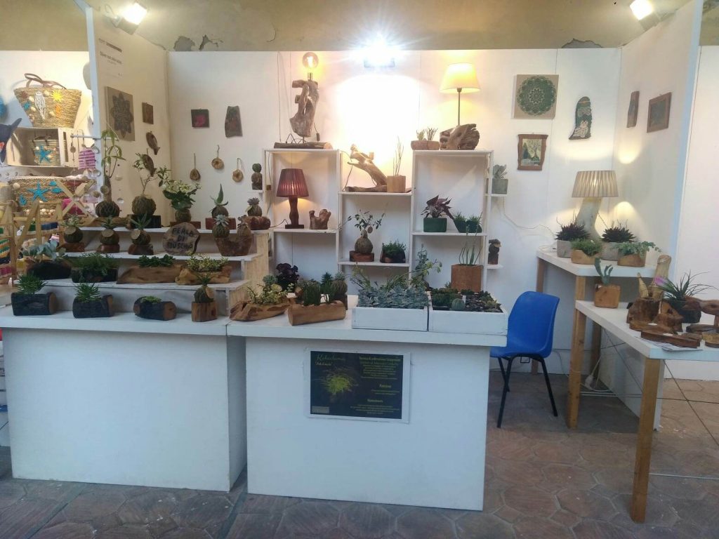 Oliver non solo cactus, l'esposizione ai Minoriti visitabile fino all'11 giugno ph Angela Strano